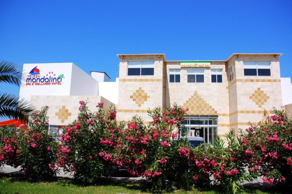 یلکن ماندالاینجی